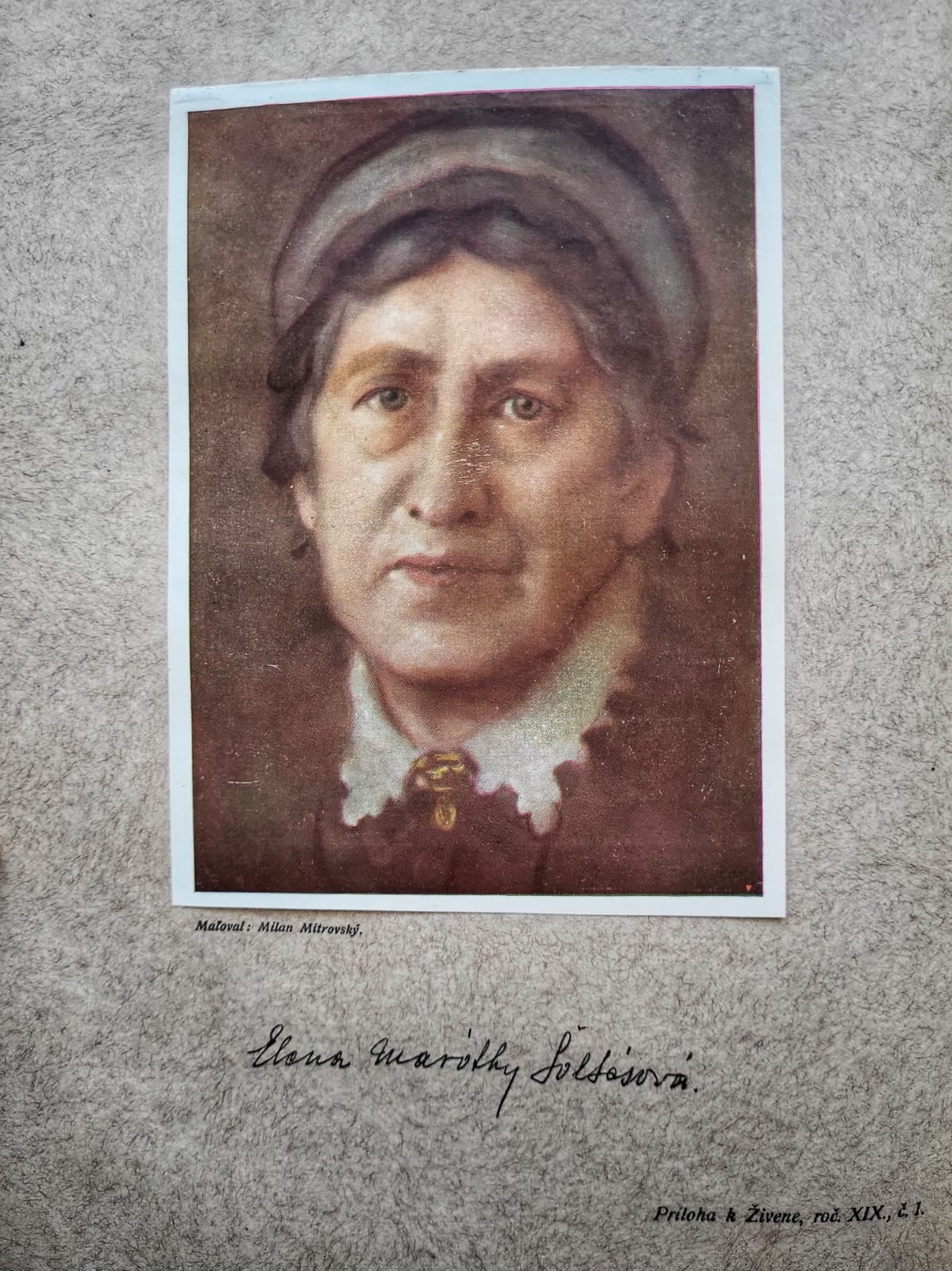 Portrét Eleny Maróthy-Šoltésovej, maľoval Milan Mitrovský — príloha k Živene, roč. XIX.
